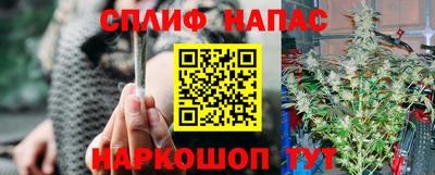 дмт Пенза