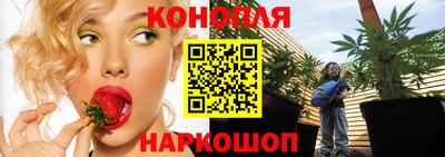apvp Обь