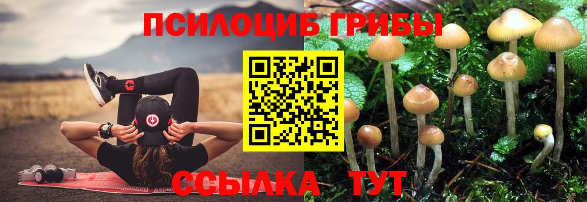 Псилоцибиновые грибы ЛСД  Галлюциногенные грибы Psilocybine cubensis  Вход с VPN  Серов 